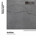 Antline Bluestone Coping 800x400x30 Bevelled Sawn