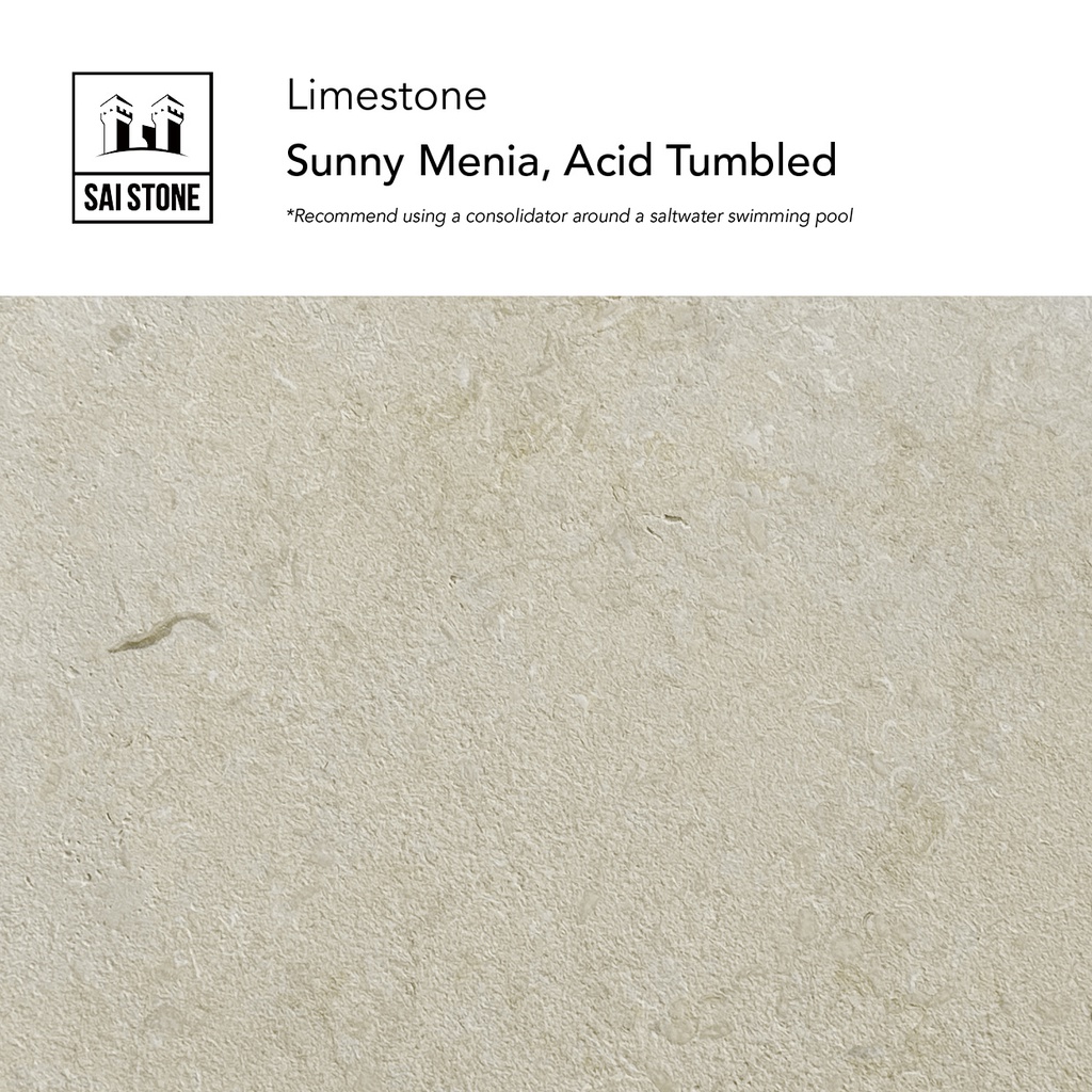 Sunny Menia Limestone  Coping 600x400x20mm drop60 Leathered Tumbled(AC)**MUST using a consolidator around a saltwater swimming pool**