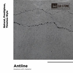 [Antcobo60040020/60SA] Antline Bluestone 600x400x20 drop 60 Sawn