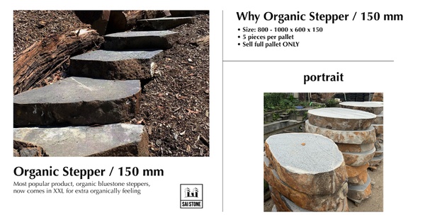 Organic Stepper 150mm.jpg